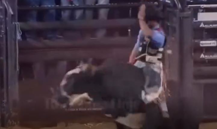 O peão Rodrigo Jadir Guedes, de Ji-Paraná, brilhou esta semana, na abertura do rodeio na arena de Barretos (SP).