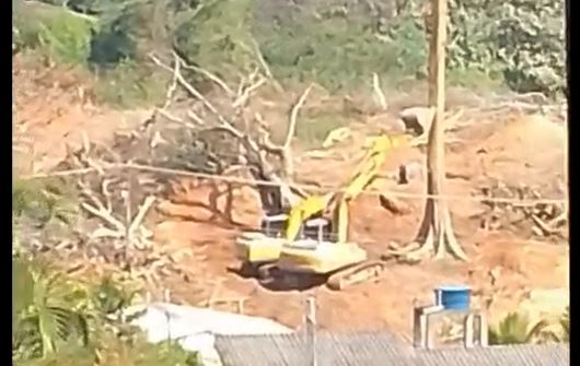 Leitor flagra área de mata que existia há 40 anos em Colorado do Oeste, sendo derrubada com autorização de órgãos ambientais