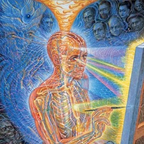 Estudo (3)
