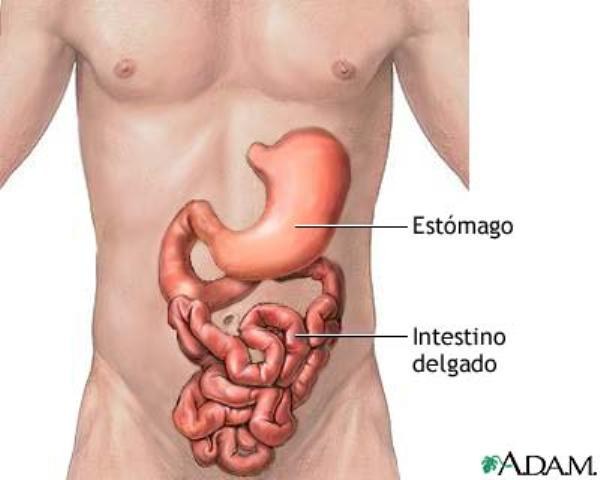 ESTUDO (4)