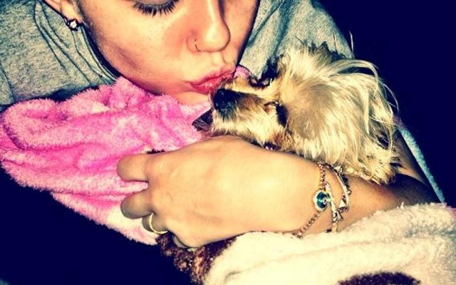 Miley Cyrus lamenta morte de sua cachorrinha no Twitter