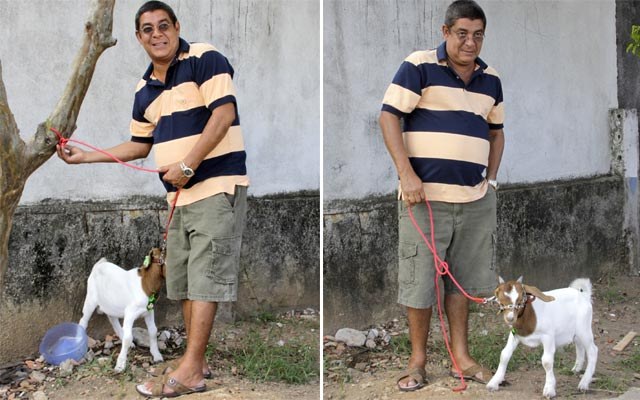 Zeca Pagodinho ganha um bode em programa de TV: "Vou levar pro meu neto"