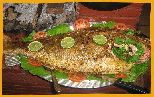 VILHENA TERÁ FESTIVAL GASTRONÔMICO