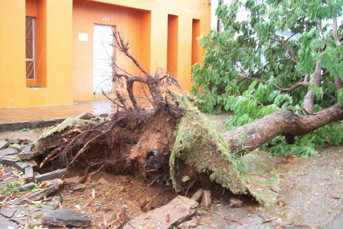 VENDAVAL PROVOCOU DANOS EM OUTRAS CIDADES DA REGIÃO