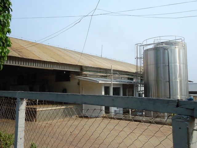Produtores de leite do Cone Sul esperam por protecionismo do governo federal