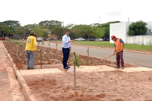  Começa a arborização na Tancredo Neves (1)
