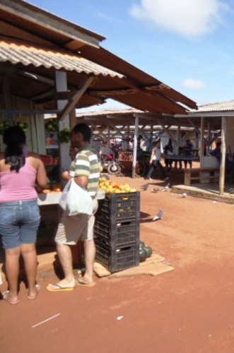 Preço do tomate dispara em cidades do Cone Sul e chega a custar R$ 7 o quilo