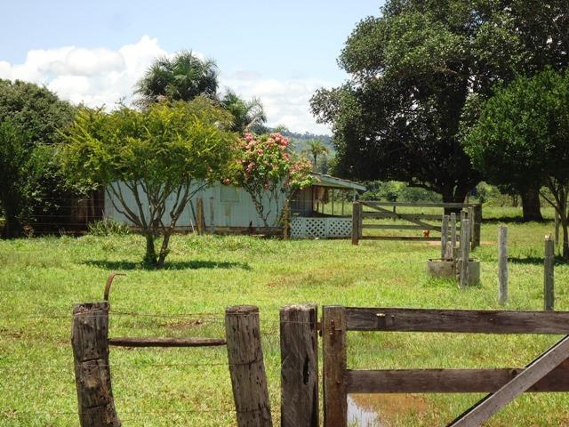 Residência de idosos é furtada em Corumbiara; crime no campo aumenta no Cone Sul