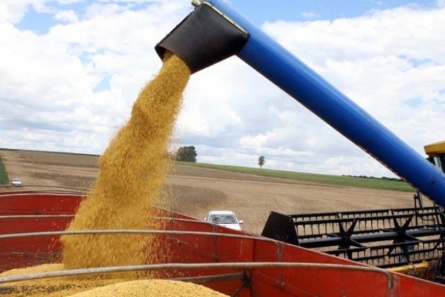 Produção de soja em Rondônia deve crescer 15,8%; Vilhena lidera plantio