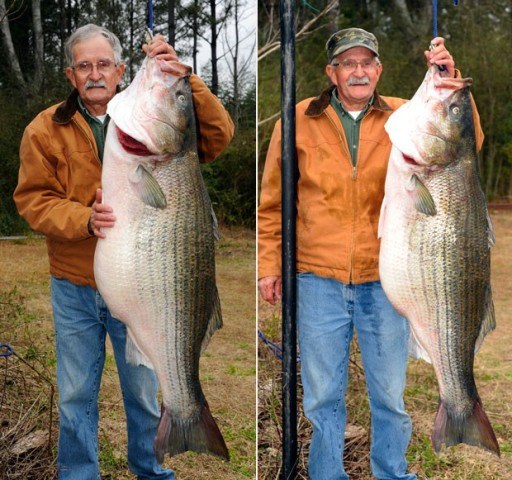 HISTÓRIA DE PESCADOR