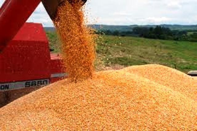 Plantadores do Cone Sul esperam colher até 60 sacas de soja por hectare este ano