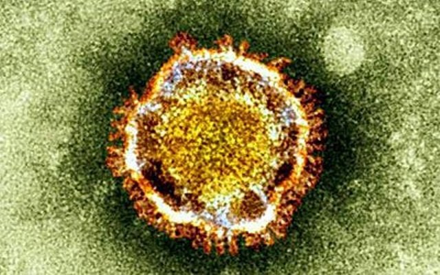 NOVO VIRUS