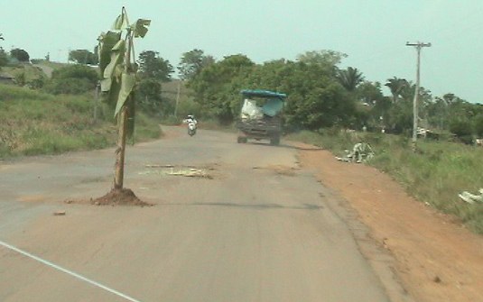 MANIFESTANTES PLANTAM BANANEIRAS NO MEIO DA RODOVIA