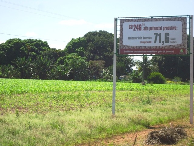 Termina colheita de soja no Cone Sul e agricultores divergem sobre resultados