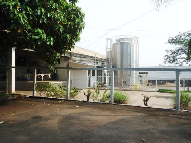 Laticínios melhoram o preço do leite e motivam produtores do Cone Sul
