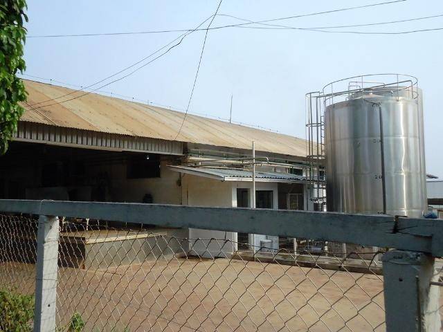 Preço do leite cai novamente e volta a desanimar produtores do Cone Sul