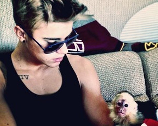 Macaco de Bieber vira propriedade da Alemanha, diz agência