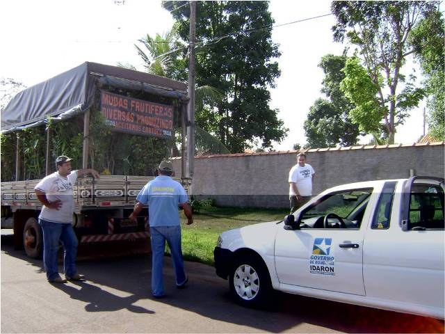 IDARON APREENDE E INCINERA MUDAS DE PLANTAS EM CABIXI