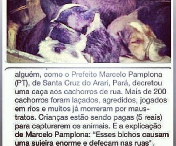 PROTESTO POP