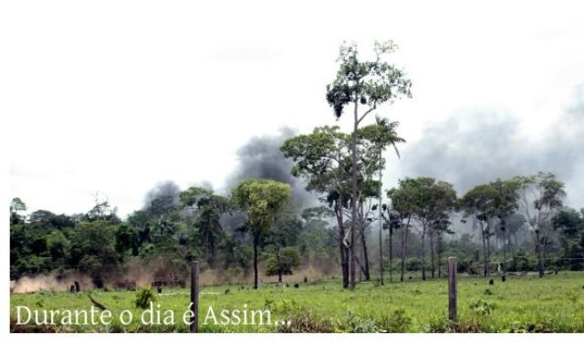 Leitora do FOLHA DO SUL ON LINE flagra crime ambiental em Chupinguaia