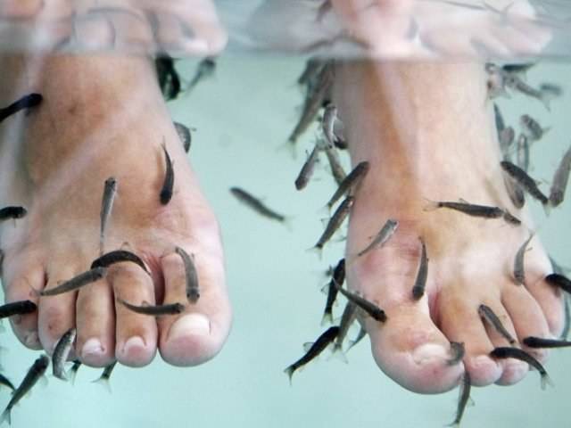 PEIXES PEDICURE