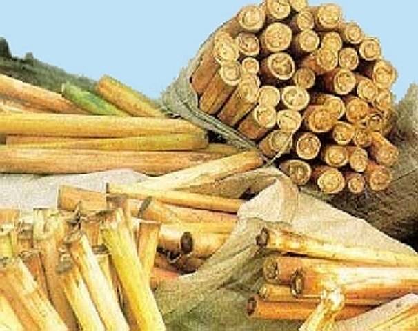 CAMINHONEIRO É MULTADO EM QUASE R$ 3 MILHÕES