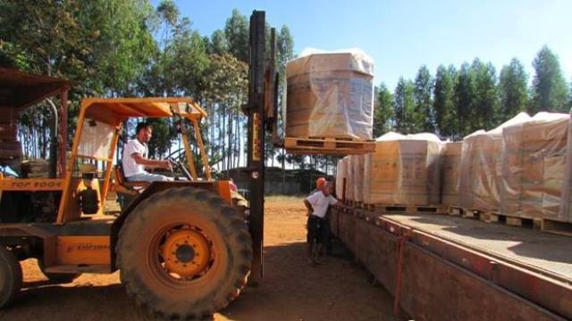 Nova commodity agrícola de Vilhena abre perspectivas para o agronegócio