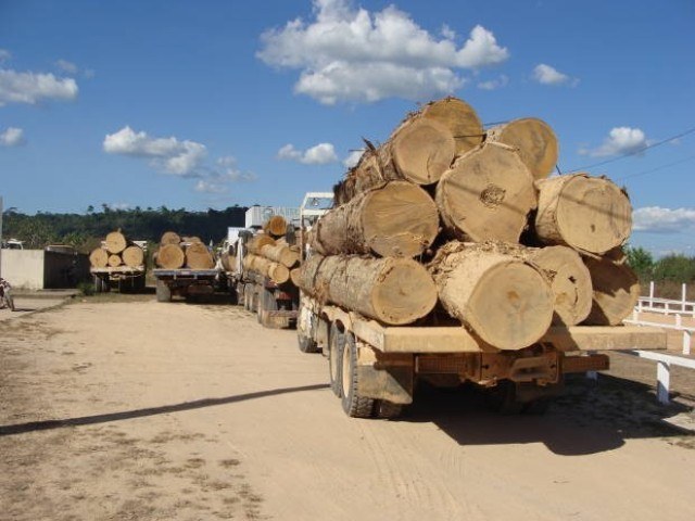 Secretário de Educação de Chupinguaia é suspeito de autorizar crime ambiental