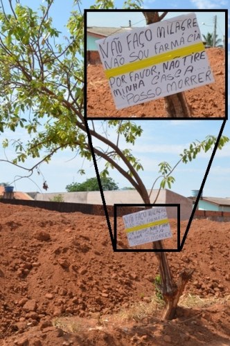 Vizinhos de árvore “mutilada” fazem cartaz bem humorado com pedido de socorro 