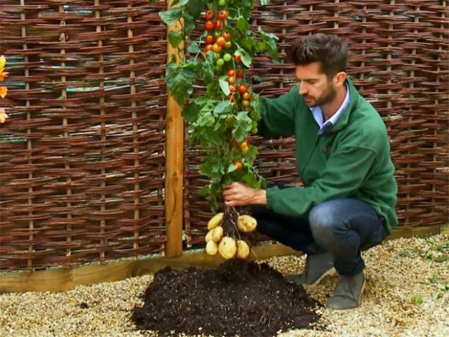 AGRICULTURA