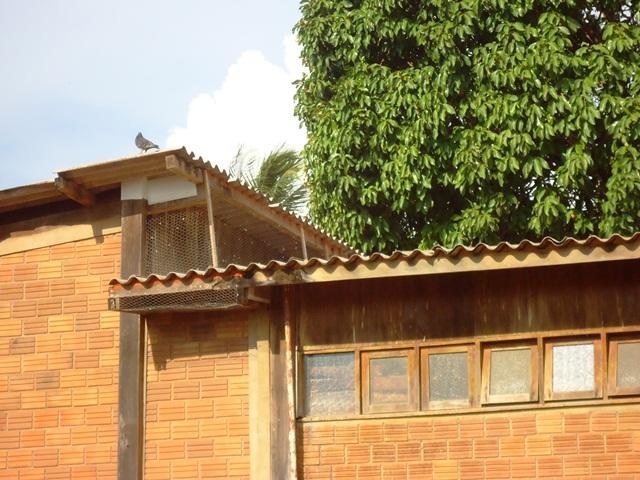 Atormentado por pombos e servidores, prefeito de Cerejeiras toma providência