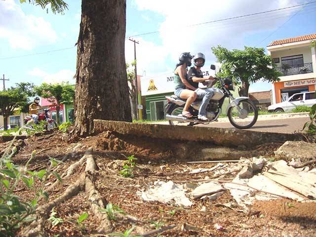 PREFEITO IGNOROU ALERTA SOBRE ESTRAGOS PROVOCADOS POR ÁRVORES