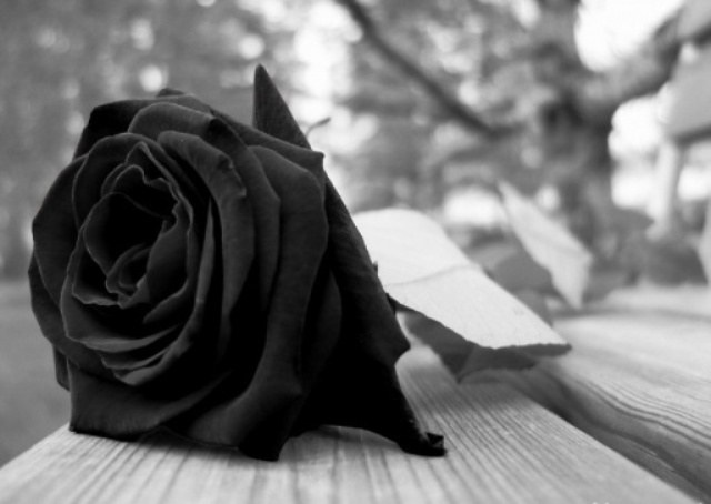 Morre aos 89 anos, mãe de professora e ex-vereadora Vilhenense