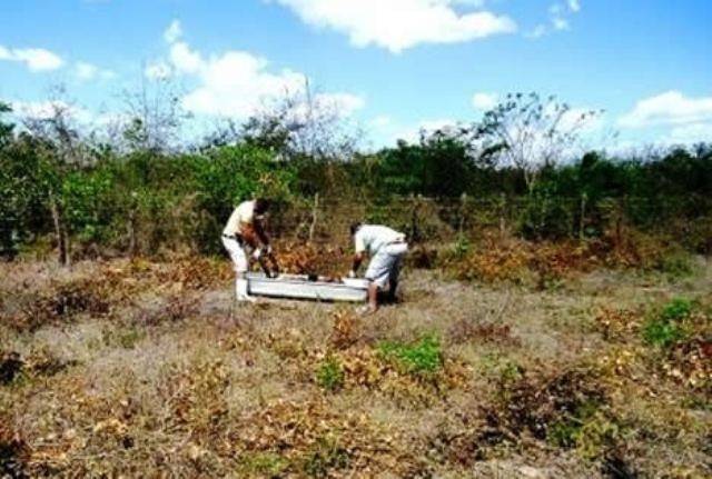 Encontrado corpo de rapaz que estava desaparecido há duas semanas em Chupinguaia
