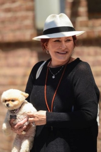 Sharon Osbourne desmente que tenha feito cirurgia íntima, diz site