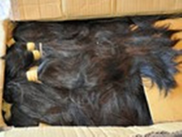 QUINZE MIL EM CABELO