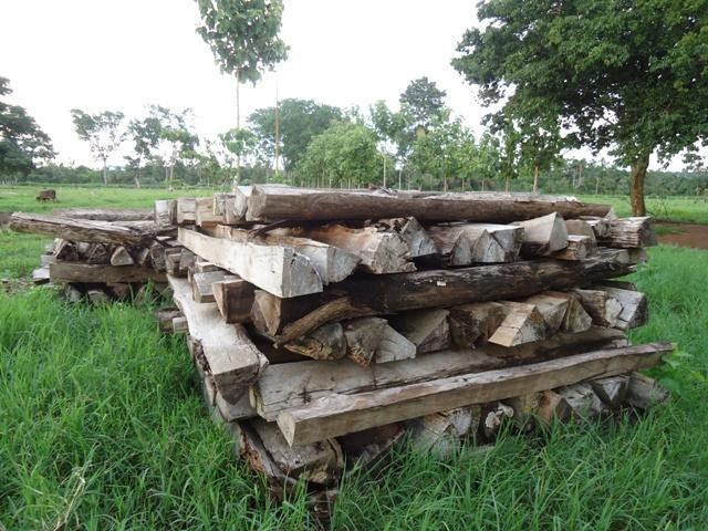 Falta de madeira para cerca faz preço do produto disparar no Cone Sul
