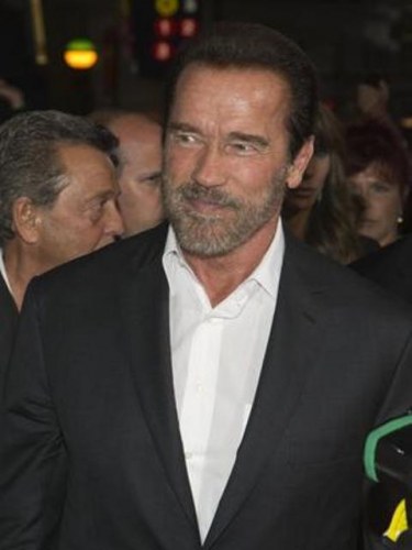 Demora no divórcio de Schwarzenegger seria por divisão de bens