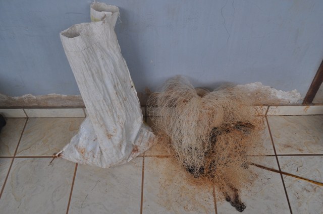 3 kg de peixes podem render até três anos de cadeia para seis pessoas em Vilhena