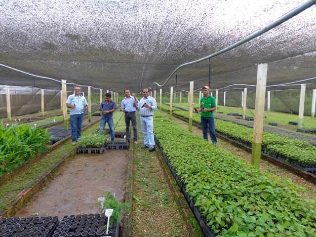 Com incentivos, prefeito tenta fazer Corumbiara voltar a ser “Capital do Urucum”