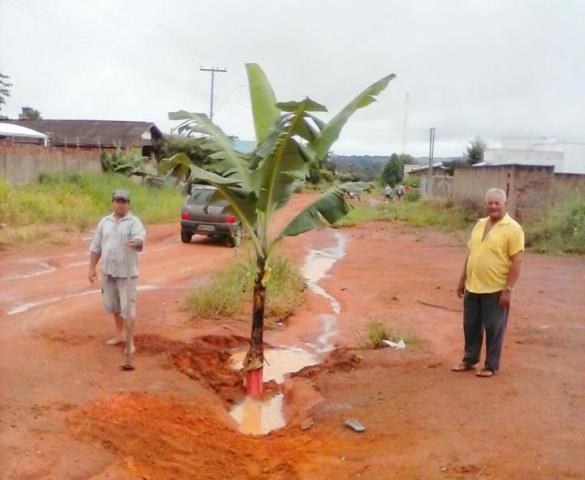 Em Cerejeiras, moradores protestam plantando bananeira em rua esburacada