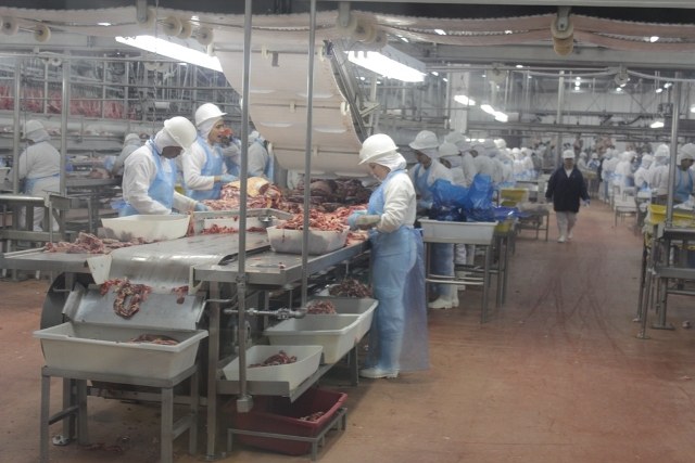  Unidade do Friboi em Vilhena vai exportar carne para os Estados Unidos