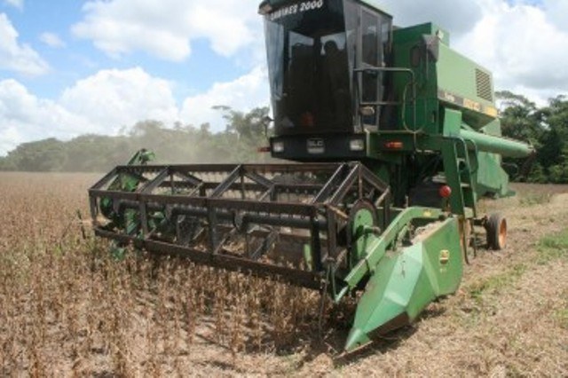 Com crescimento de 20%, cidades do Cone Sul colhem supersafra de soja