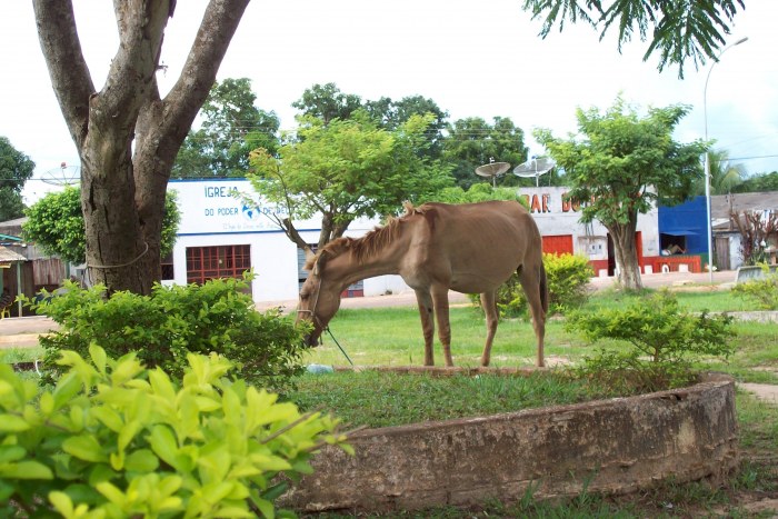 Região | ÚNICA PRAÇA DE CHUPINGUIA ESTÁ ABANDONADA