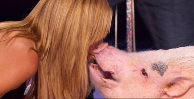 Heidi Klum dá beijo em porco em programa de TV