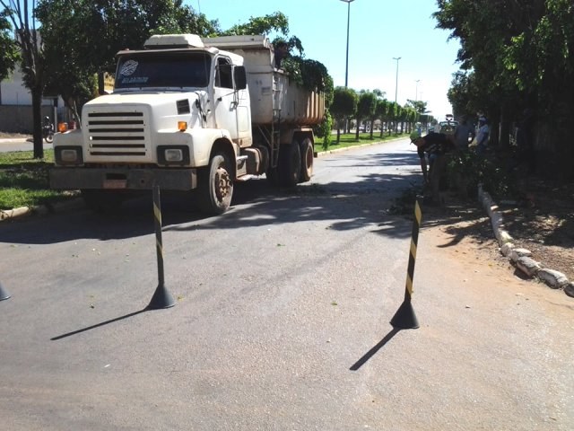 Poda de árvores vai fechar avenidas para tráfego de veículos em Vilhena