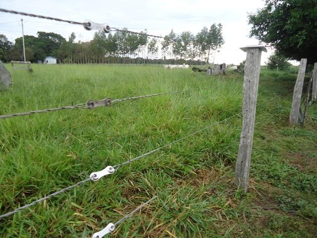 Cone Sul: sitiantes aumentam risco de morte por raios em suas propriedades
