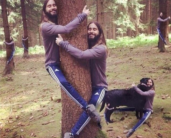 Jared Leto posta foto abraçando árvore e vira meme 