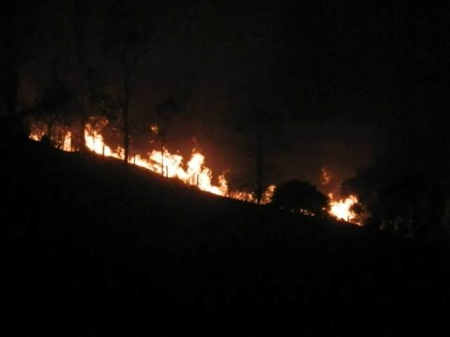 Incêndios criminosos ajudam a piorar situação climática no interior do Cone Sul