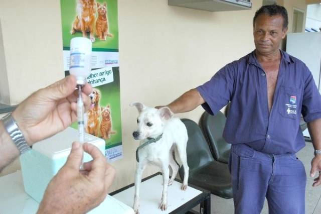 VETERINÁRIO ALERTA PARA VACINAÇÃO DE CÃES